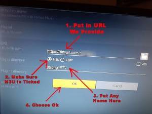 Mettez les détails du serveur dans